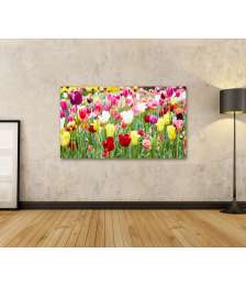 Bild auf Leinwand Vielfältige Blumenauswahl mit prächtig blühenden Tulpen als Highlight