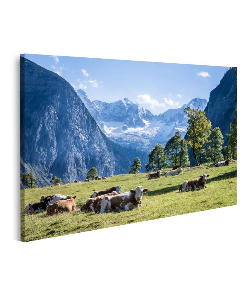 Islandburner Bild auf Leinwand Alpenlandschaft mit Kühen auf einer idyllischen Wiese