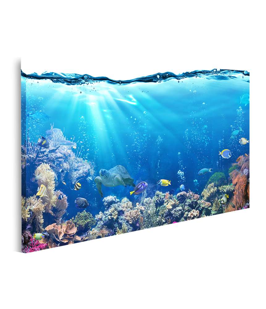 Islandburner Bild auf Leinwand Unterwasser-Aquariumhintergrund mit Korallenriff und tropischen Fischen