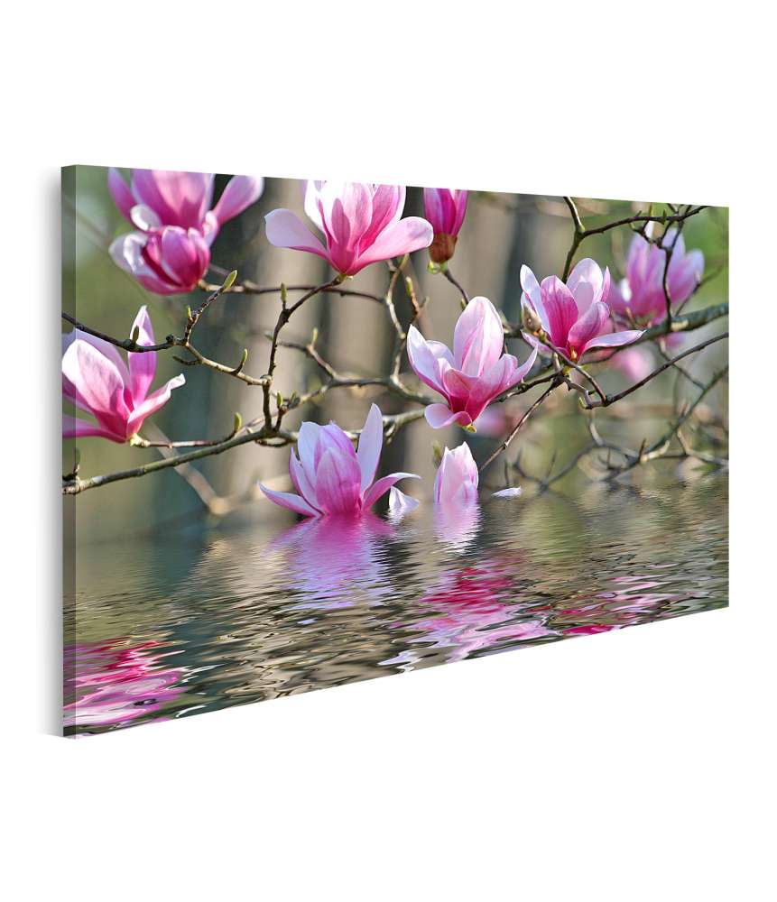 Islandburner Bild auf Leinwand Japanische Magnolienblüten am Wasser Wandbild