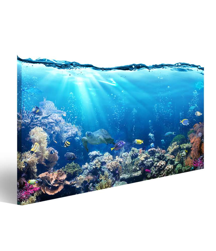 Islandburner Bild auf Leinwand Unterwasserlandschaft mit Korallenriff und tropischen Fischen - Wandbild