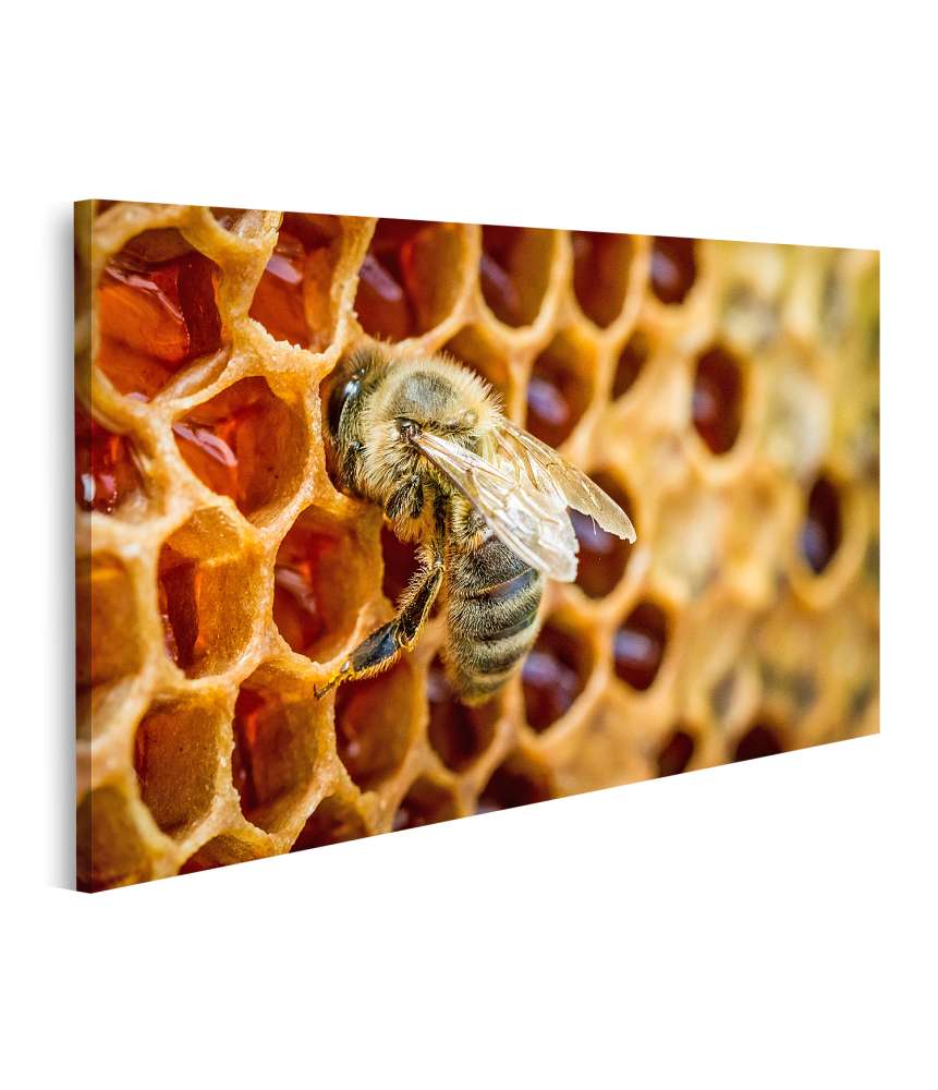 Islandburner Bild auf Leinwand Bienen auf Waben in einem detailreichen Bienenstock-Wandbild