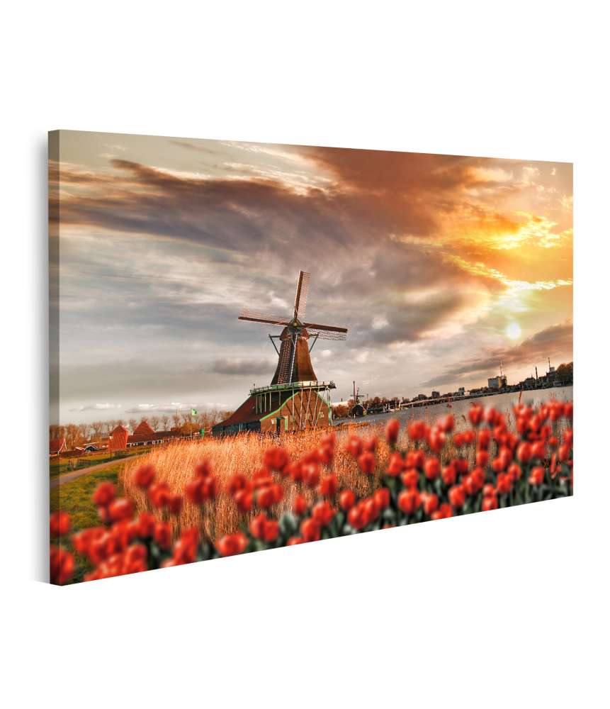 Islandburner Bild auf Leinwand Traditionelle Windmühlen und rote Tulpen in Zaanse Schans, Amsterdam