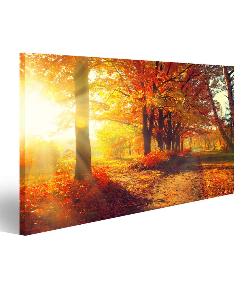 Islandburner Bild auf Leinwand Herbstpark mit sonnenbeschienenen, herbstlich gefärbten Bäumen und Blättern