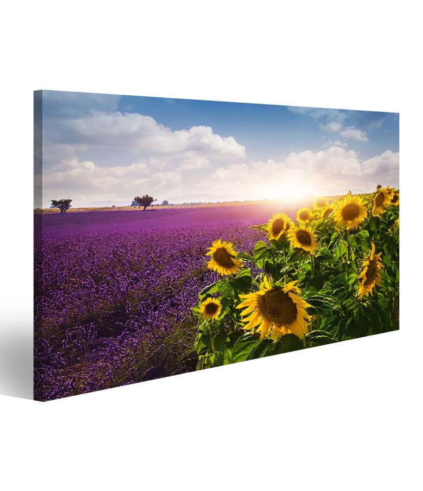 Islandburner Bild auf Leinwand Lavendel- und Sonnenblumenfelder in der Provence Wandbild