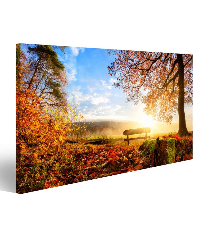 Islandburner Bild auf Leinwand Sonnendurchflutete Herbstlandschaft mit einer Bank unter einem Baum