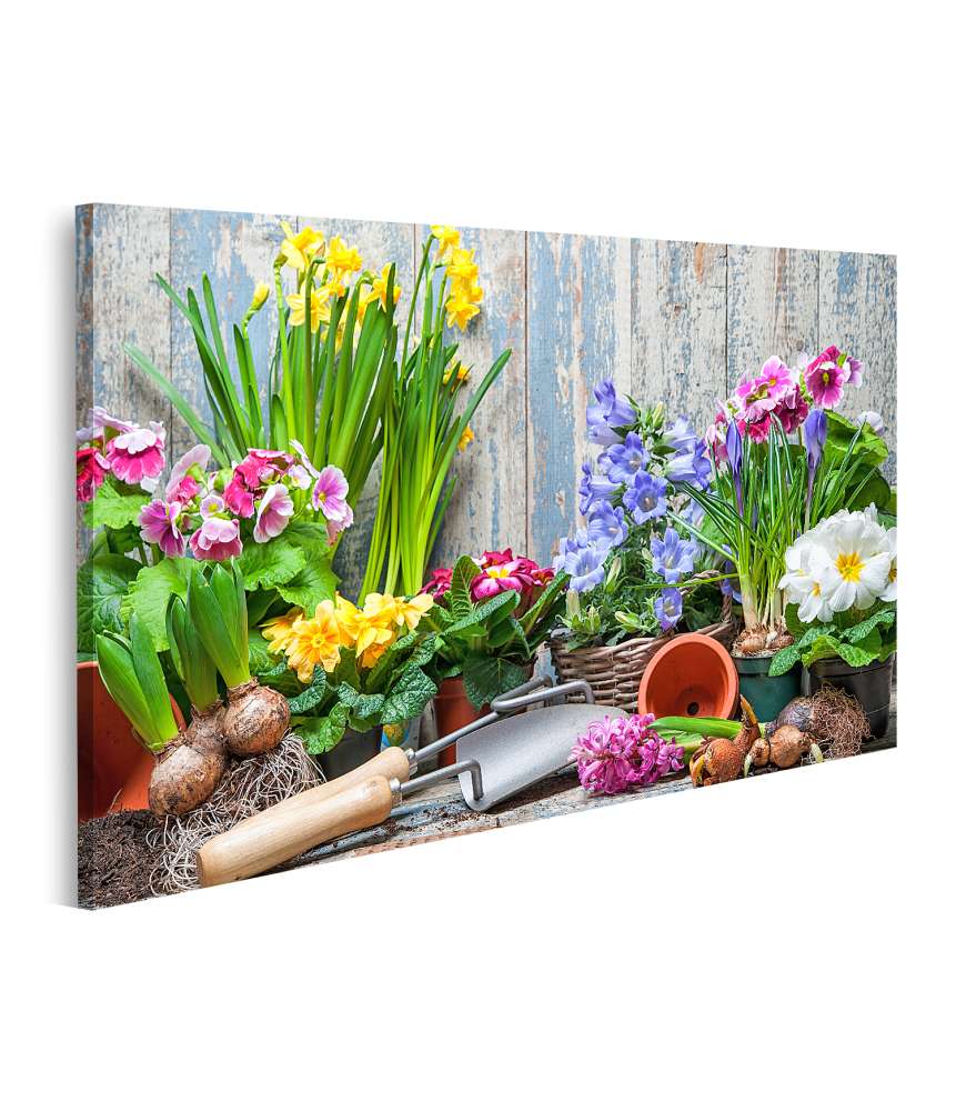 Islandburner Bild auf Leinwand Buntes Wandbild von Garten mit Frühlingsblumen für Hobbygärtner