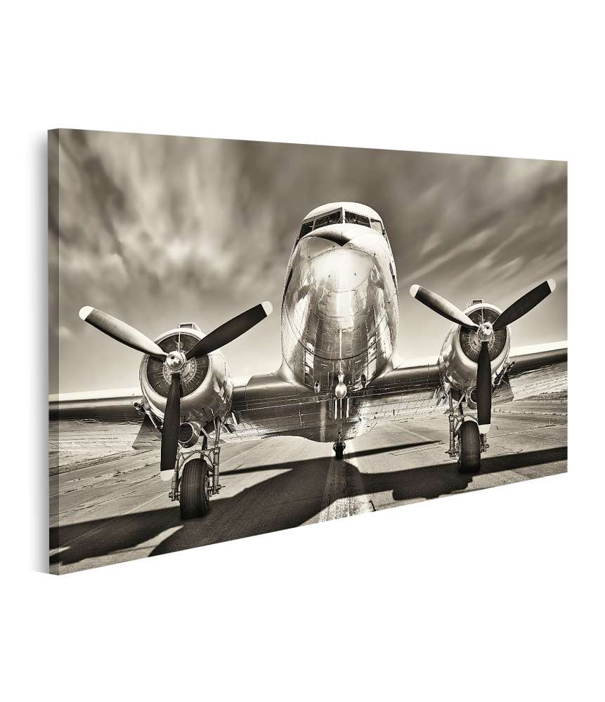 Islandburner Bild auf Leinwand Monochromes Retro-Wandbild eines Propellerflugzeugs