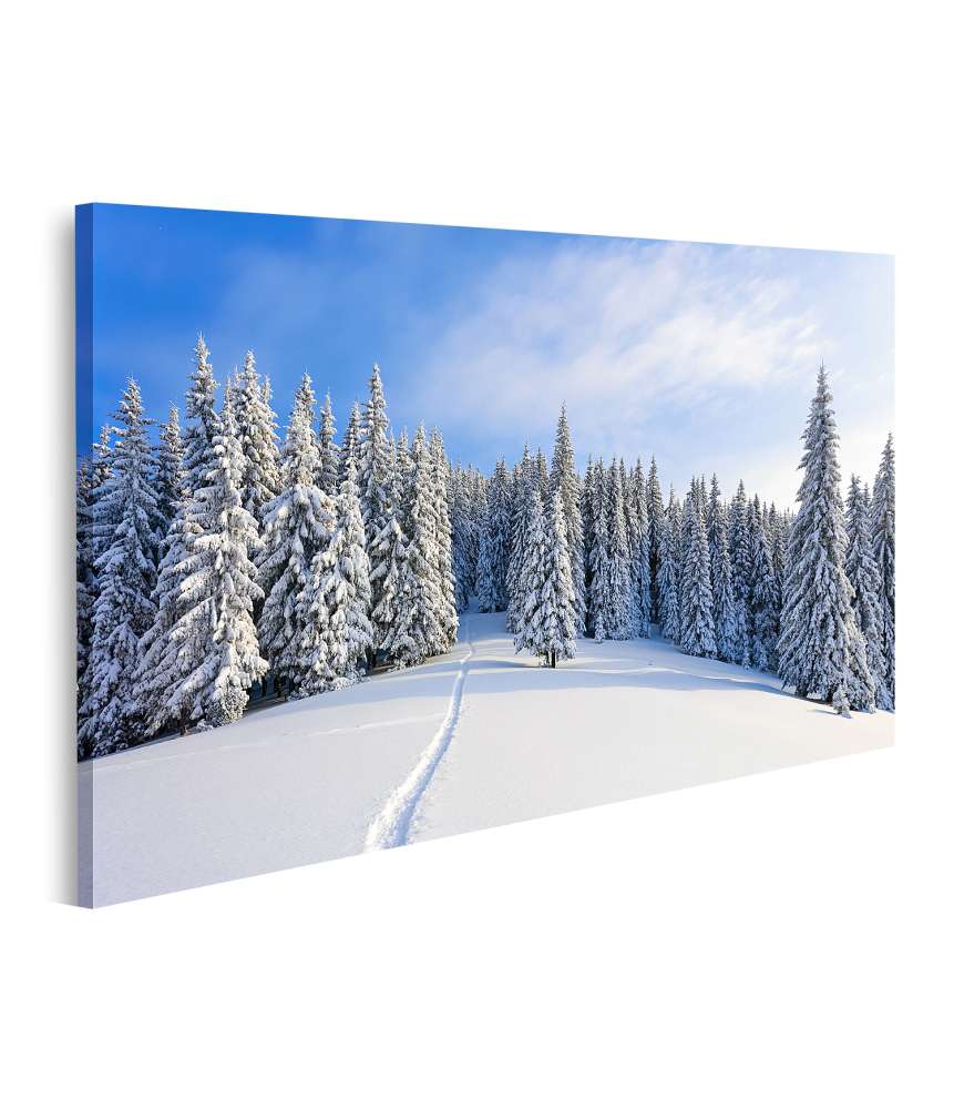 Islandburner Bild auf Leinwand Malerische Winterlandschaft mit prächtigen, schneebedeckten Bäumen