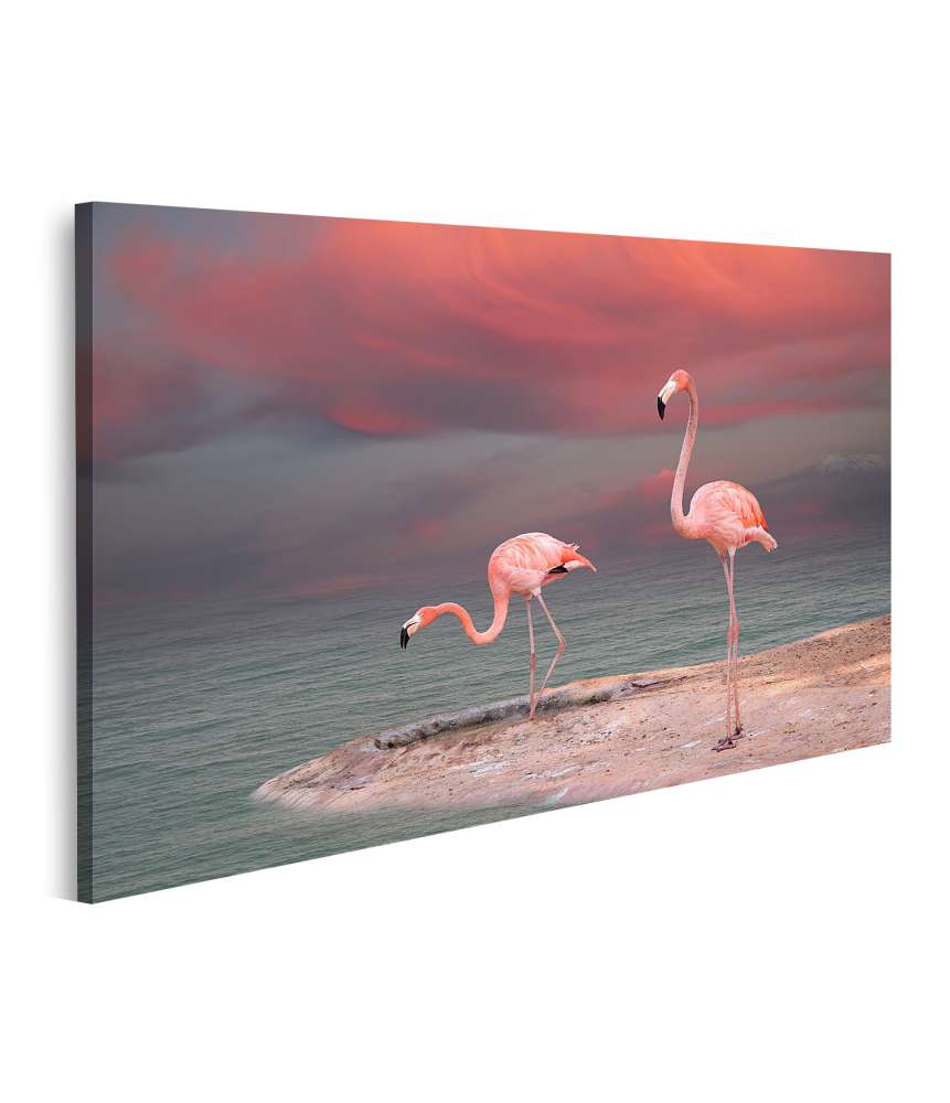 Islandburner Bild auf Leinwand Rosa Flamingo am idyllischen Strand Floridas