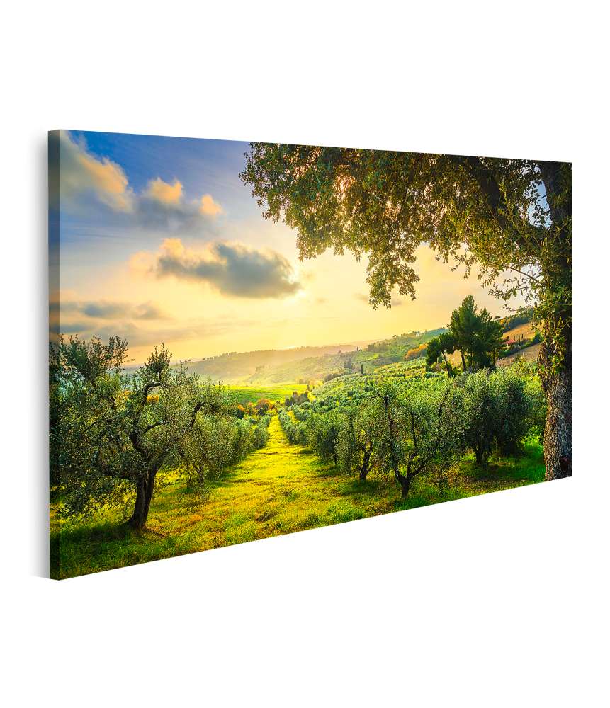 Islandburner Bild auf Leinwand Panoramablick auf Maremma, Olivenbäume und Sonnenuntergang bei Casale Maritti