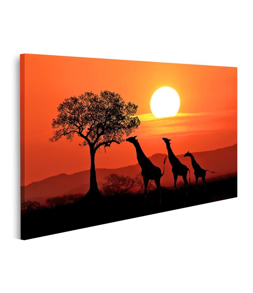 Islandburner Bild auf Leinwand Großes Wandbild: Südafrikanische Giraffen beim Sonnenuntergang in Afrika