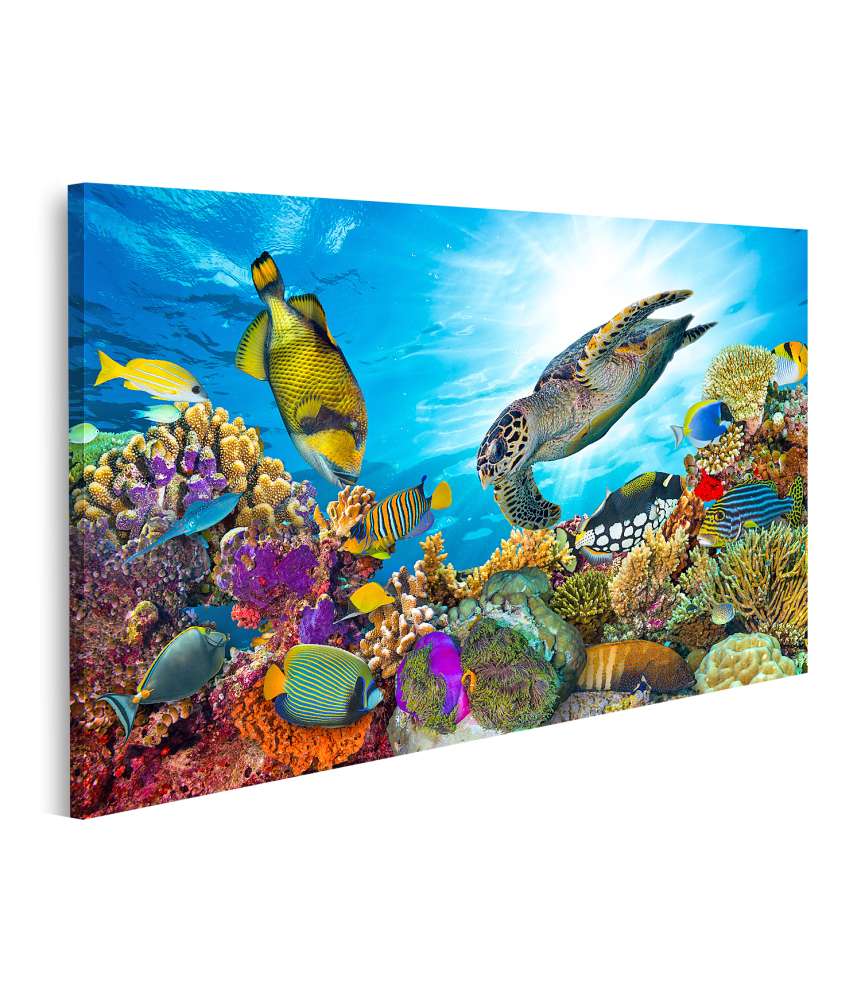 Islandburner Bild auf Leinwand Lebhaftes Wandbild mit farbenfrohem Korallenriff, Fischschwärmen und Meeresschildkröte