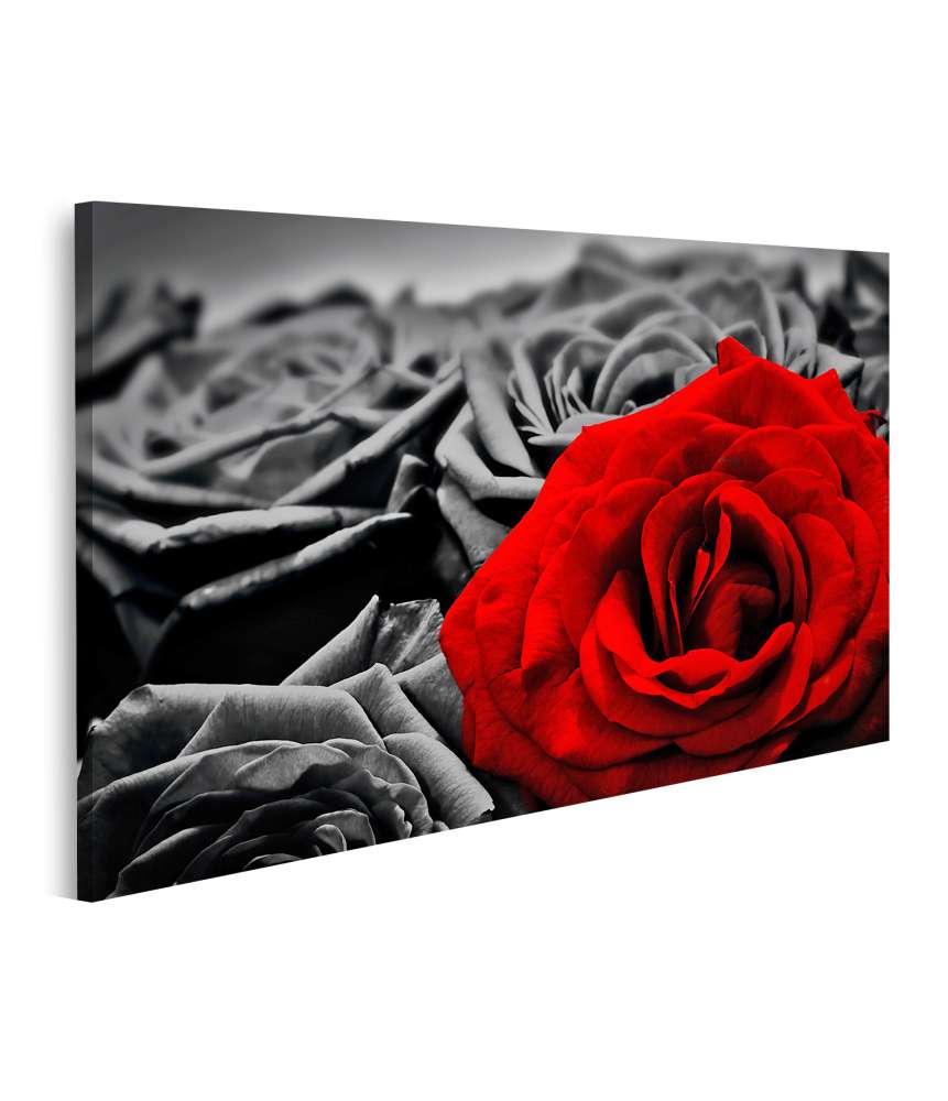 Islandburner Bild auf Leinwand Romantische Wandbild-Grußkarte mit roter Rose für Valentins- oder Muttertag