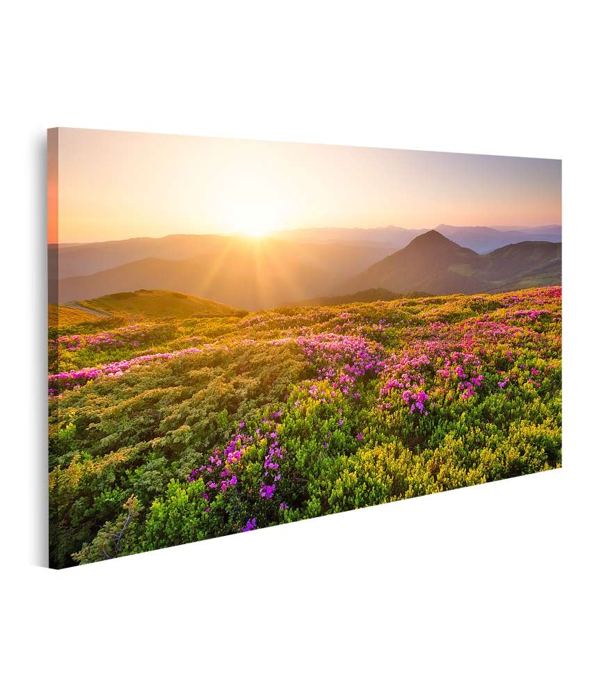 Islandburner Bild auf Leinwand Sonnenaufgang über blühenden Blumen und Berghügeln in natürlicher Landschaft