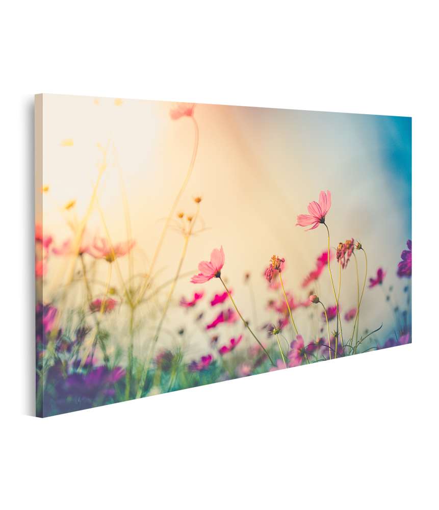 Islandburner Bild auf Leinwand Wundervolles Wandbild eines Gartens voller farbenfroher Cosmos-Blumen