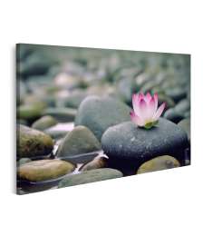 Bild auf Leinwand Stein-Massagesalon mit Lotosblütenwandbild im Thai Spa Studio