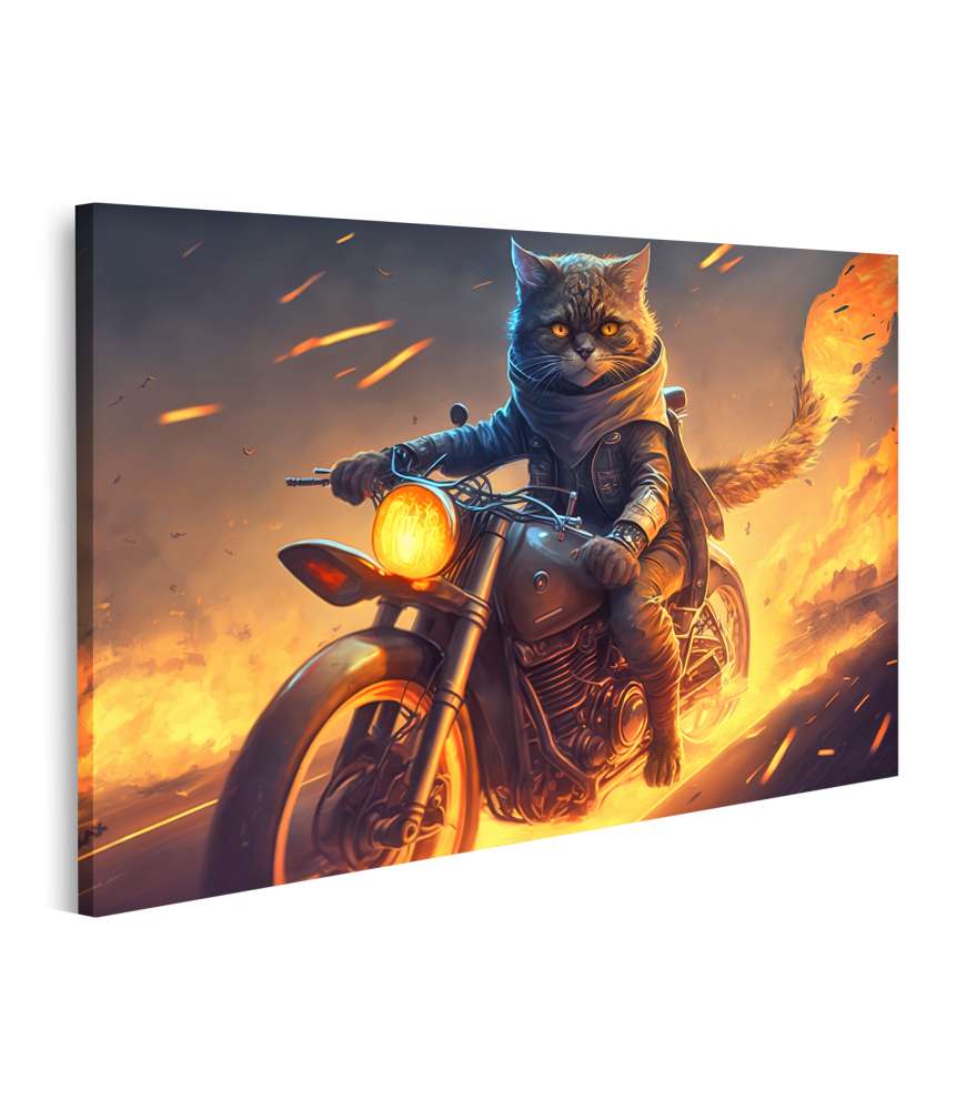 Islandburner Bild auf Leinwand Mutiger Superhelden-Biker reitet feurig mit Katze auf Motorrad