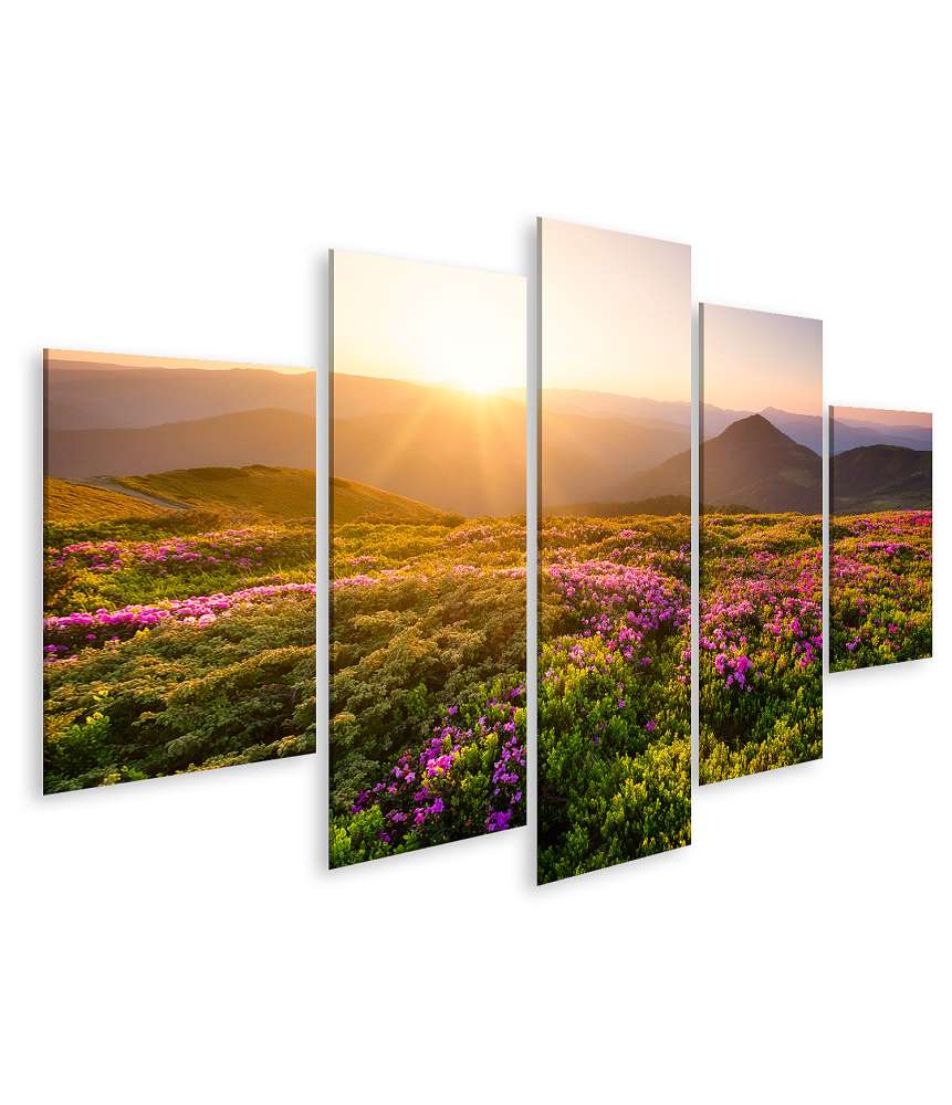 Islandburner Bild auf Leinwand Sonnenaufgang über blühenden Blumen und Berghügeln in natürlicher Landschaft