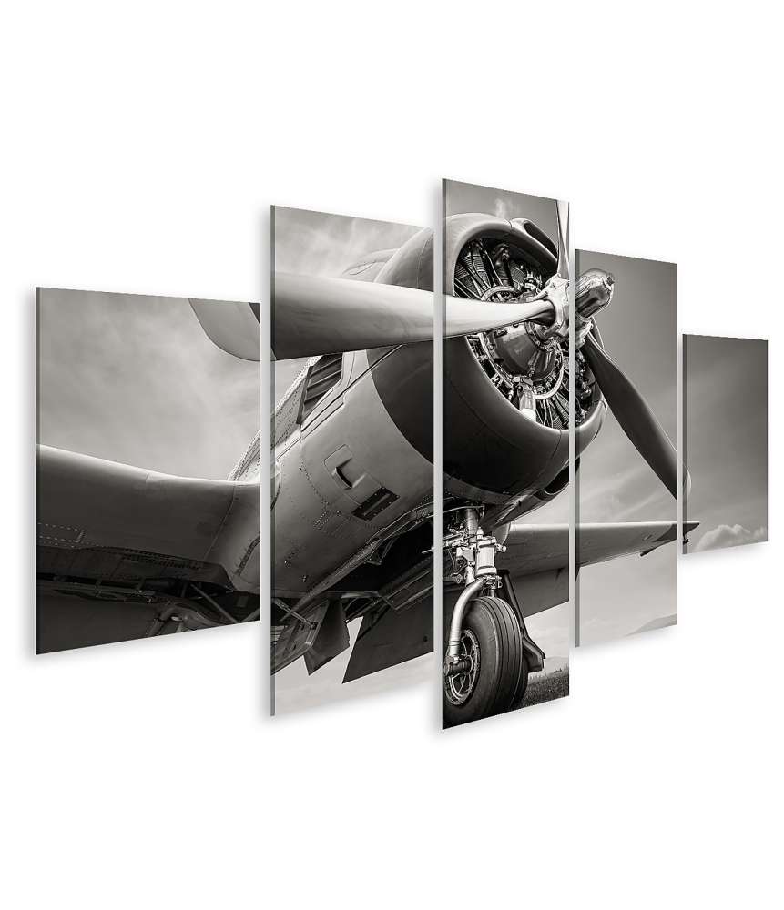 Islandburner Bild auf Leinwand Dramatischer Himmel hinter historischem Flugzeug 152A Wandbild