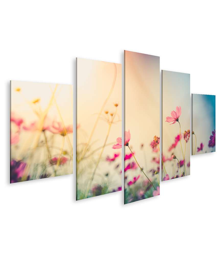 Islandburner Bild auf Leinwand Wundervolles Wandbild eines Gartens voller farbenfroher Cosmos-Blumen