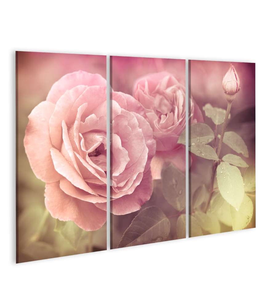 Islandburner Bild auf Leinwand Abstraktes Wandbild mit pastellrosa Rosen und Wassertropfen