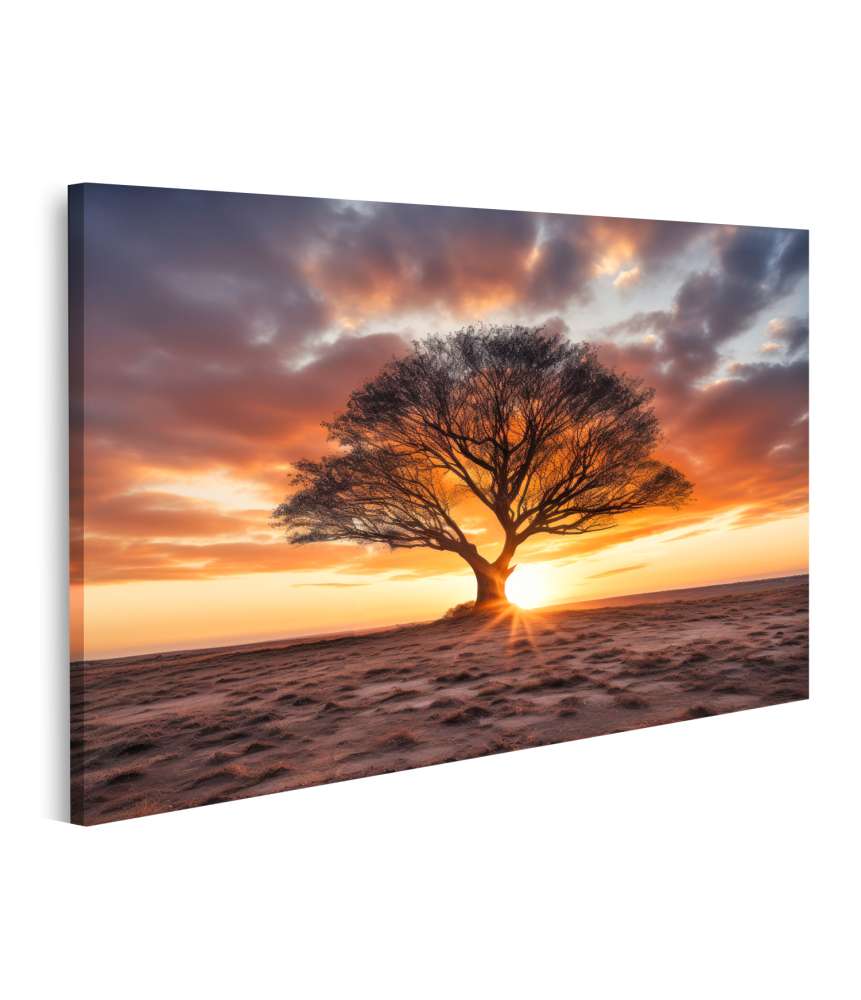 Islandburner Bild auf Leinwand Einsamer Baum in afrikanischer Wüste vor orangerotem Sonnenuntergang