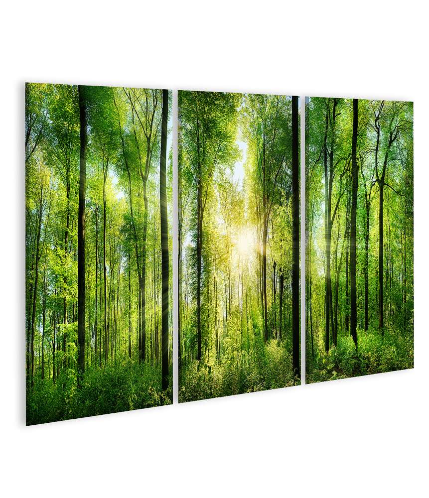 Bild auf Leinwand Idyllisches Wandbild von grünen Laubbäumen in einem malerischen Wald
