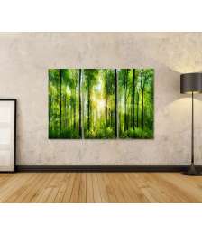 Bild auf Leinwand Idyllisches Wandbild von grünen Laubbäumen in einem malerischen Wald