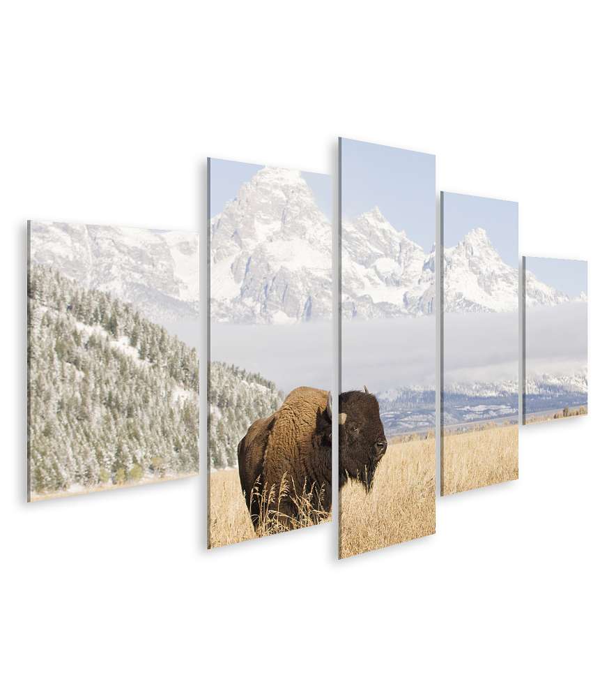 Islandburner Bild auf Leinwand Majestätisches Wandbild eines Bisons vor den Grand Teton Bergen