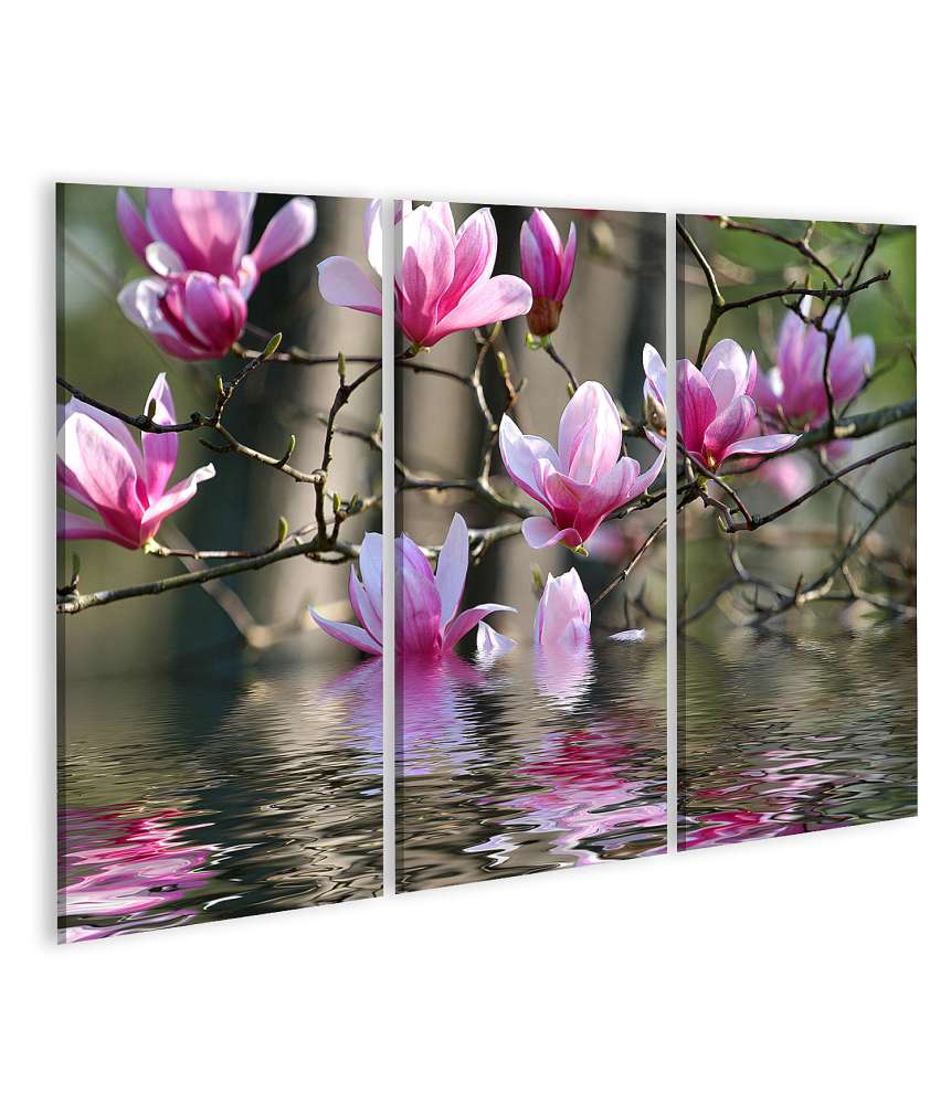 Islandburner Bild auf Leinwand Japanische Magnolienblüten am Wasser Wandbild