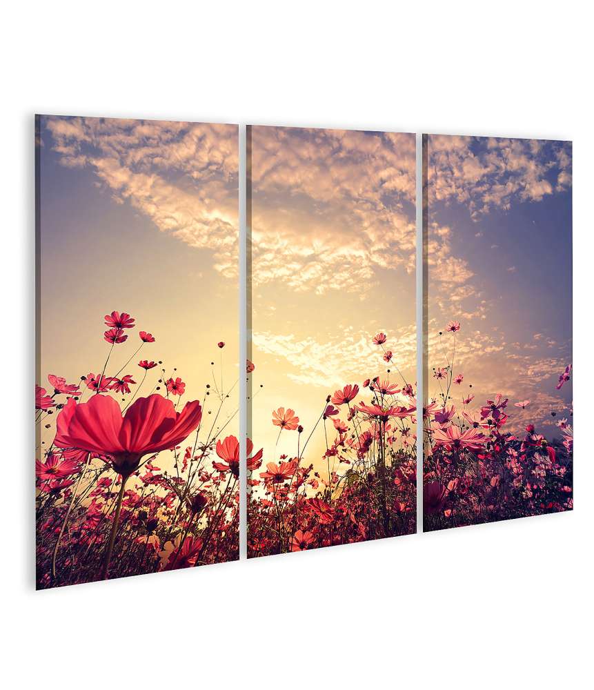 Islandburner Bild auf Leinwand Schönes Wandbild einer sonnigen Landschaft mit roten Kosmos-Blumenfeldern