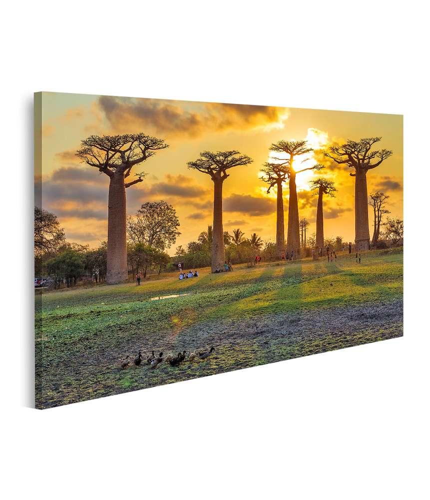 Islandburner Bild auf Leinwand Atemberaubende Baobab-Allee bei Sonnenuntergang in Madagaskar