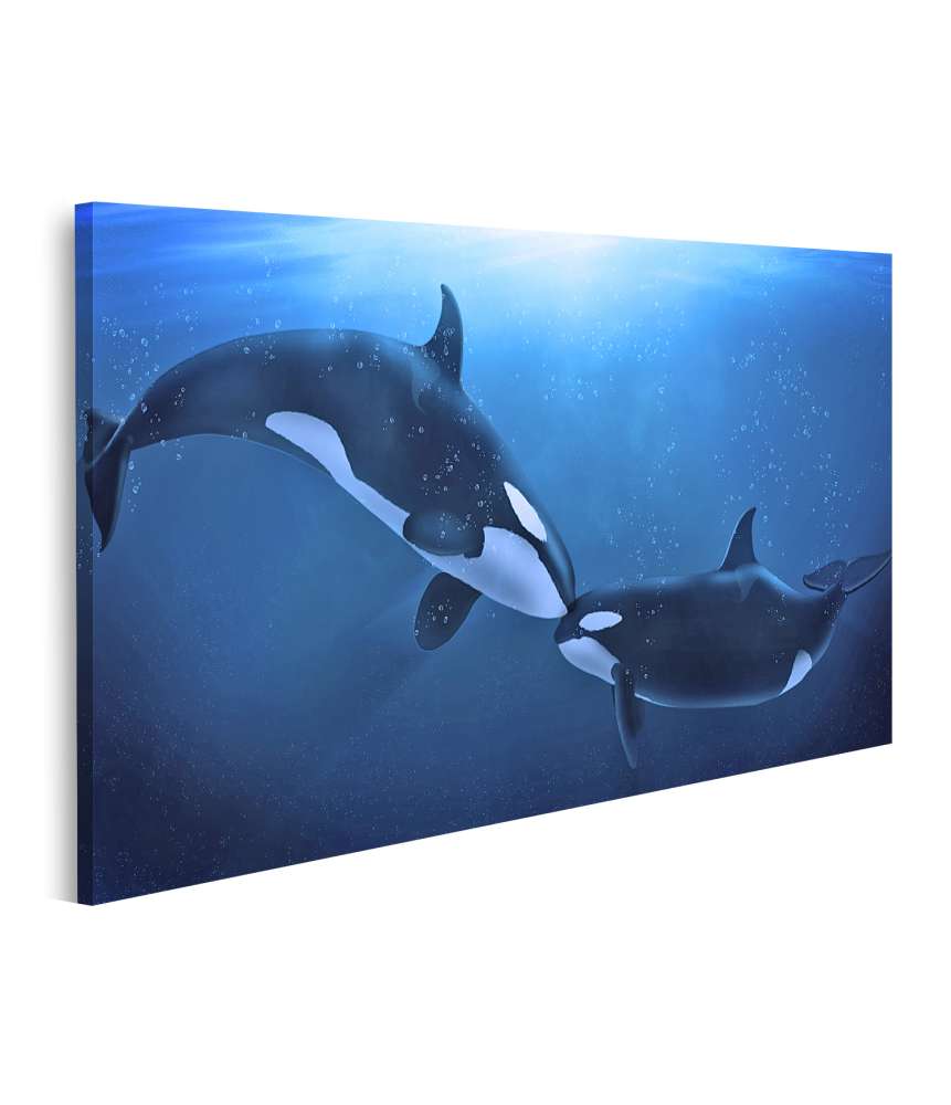 Islandburner Bild auf Leinwand Darstellung sanfter Orcas in liebevoller Interaktion