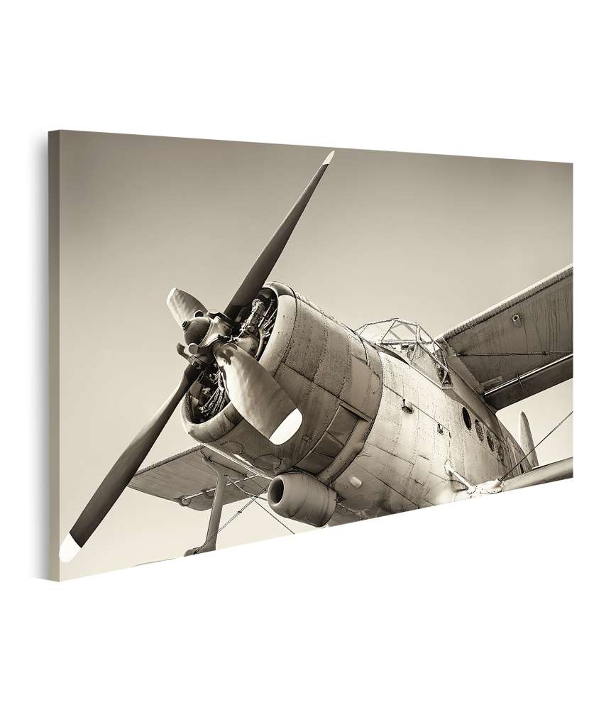 Islandburner Bild auf Leinwand Vintage Flugzeug detailliert dargestellt auf Wandbild