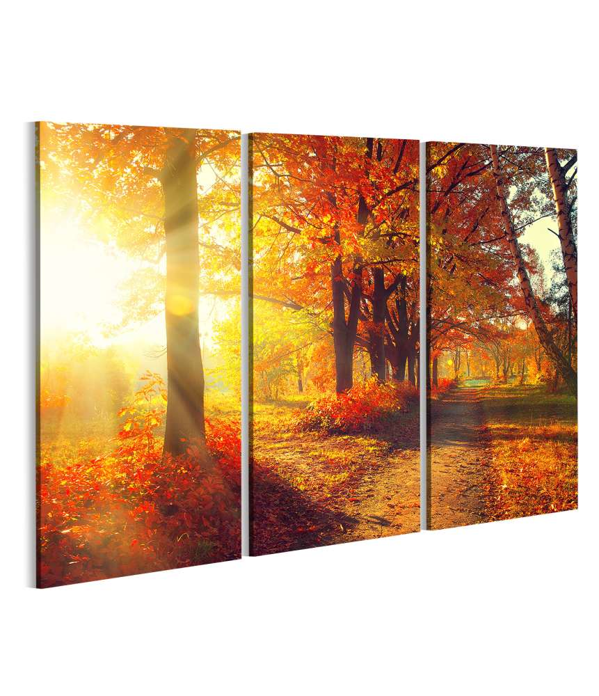 Islandburner Bild auf Leinwand Herbstpark mit sonnenbeschienenen, herbstlich gefärbten Bäumen und Blättern