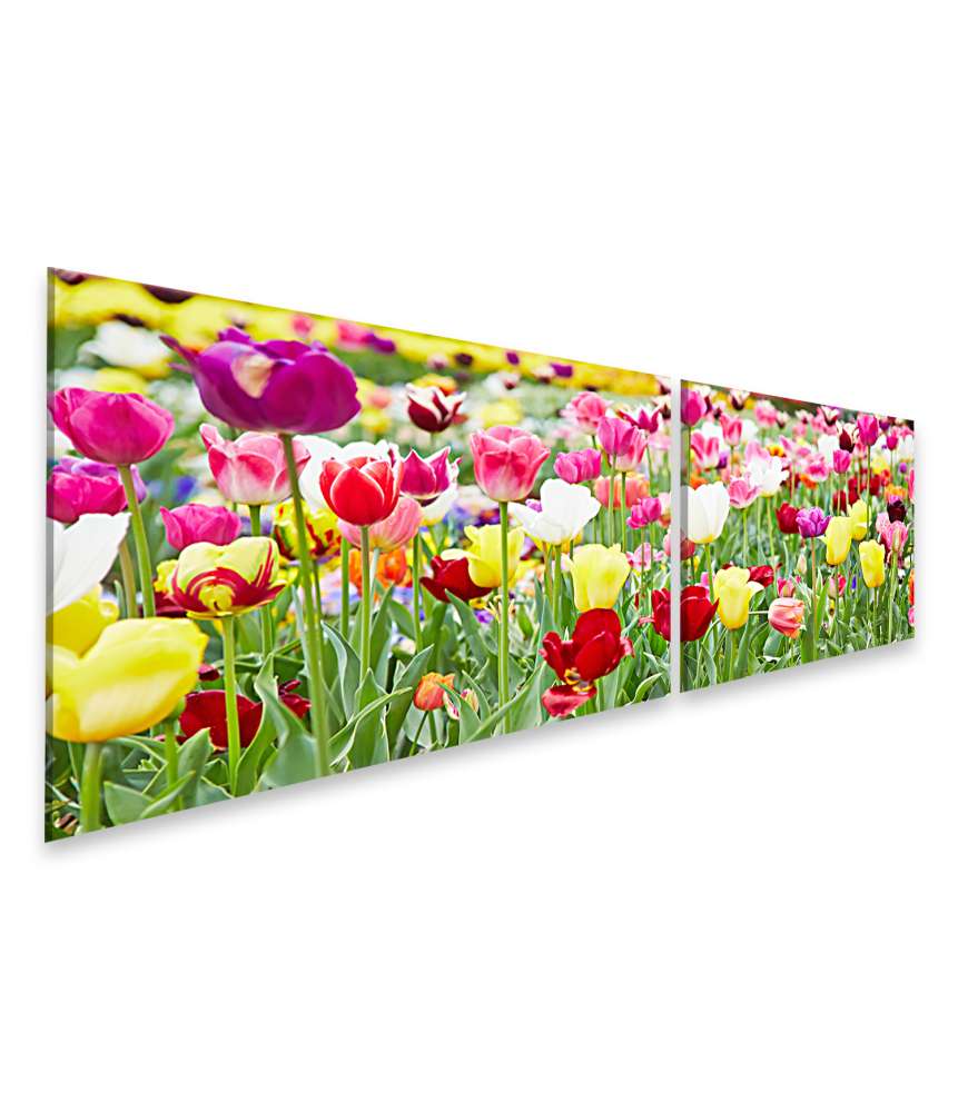 Islandburner Bild auf Leinwand Vielfältige Blumenauswahl mit prächtig blühenden Tulpen als Highlight