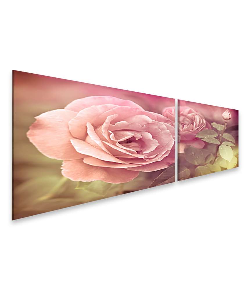 Islandburner Bild auf Leinwand Abstraktes Wandbild mit pastellrosa Rosen und Wassertropfen