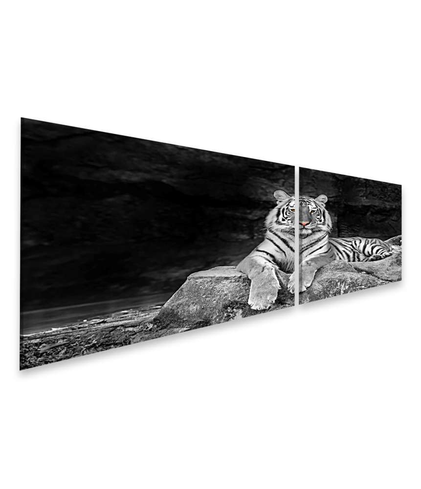 Islandburner Bild auf Leinwand Schwarz-Weiß Wandbild eines Tigers, der auf einem Stein liegt