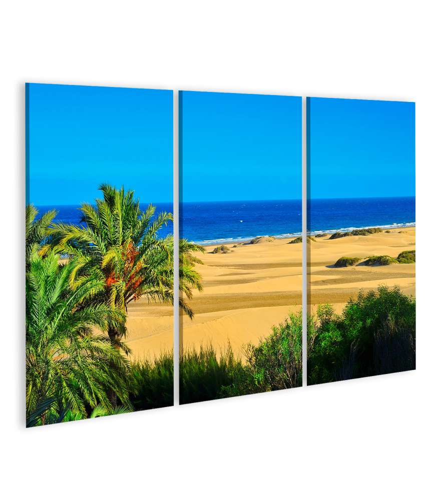 Islandburner Bild auf Leinwand Maspalomas Dünen, Gran Canaria, Kanarische Inseln, Spanien Wandbild