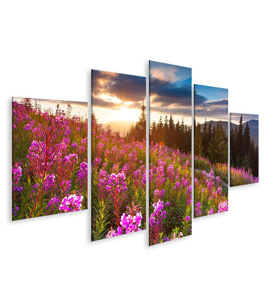 Islandburner Bild auf Leinwand Beeindruckendes Wandbild: Herbstliche Berglandschaft mit rosa Blumen