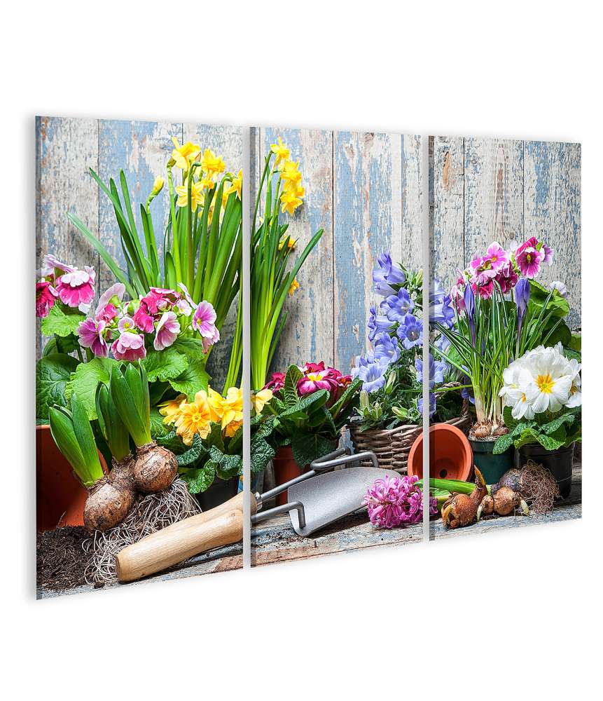 Islandburner Bild auf Leinwand Buntes Wandbild von Garten mit Frühlingsblumen für Hobbygärtner