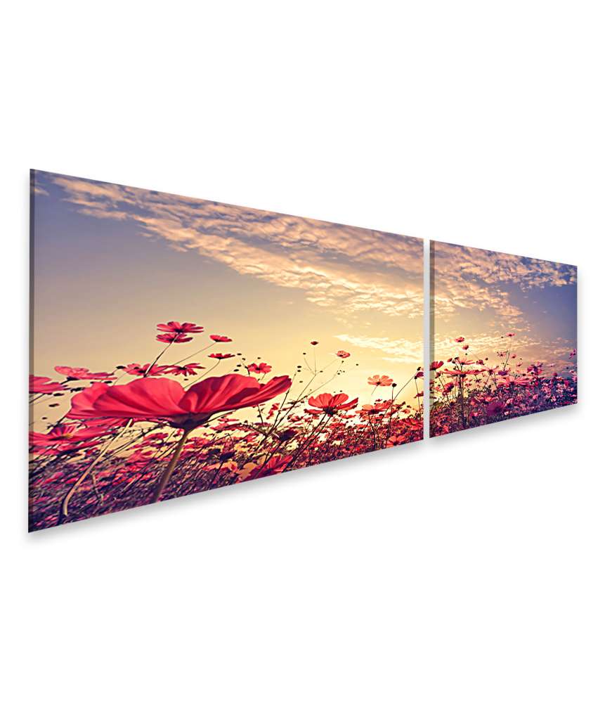 Islandburner Bild auf Leinwand Schönes Wandbild einer sonnigen Landschaft mit roten Kosmos-Blumenfeldern