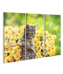 Bild auf Leinwand Entzückendes Wandbild eines jungen Kätzchens in einem blumenreichen Garten