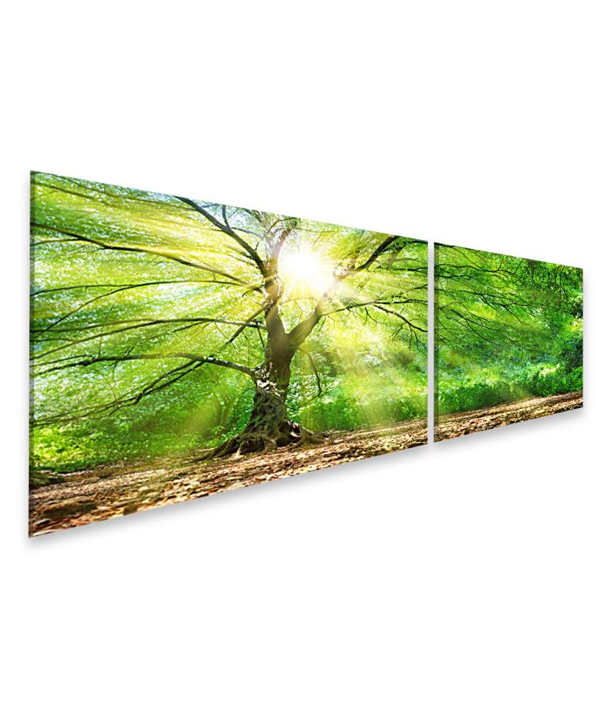 Islandburner Bild auf Leinwand Sonnendurchfluteter Baum auf prächtigem Wandbild