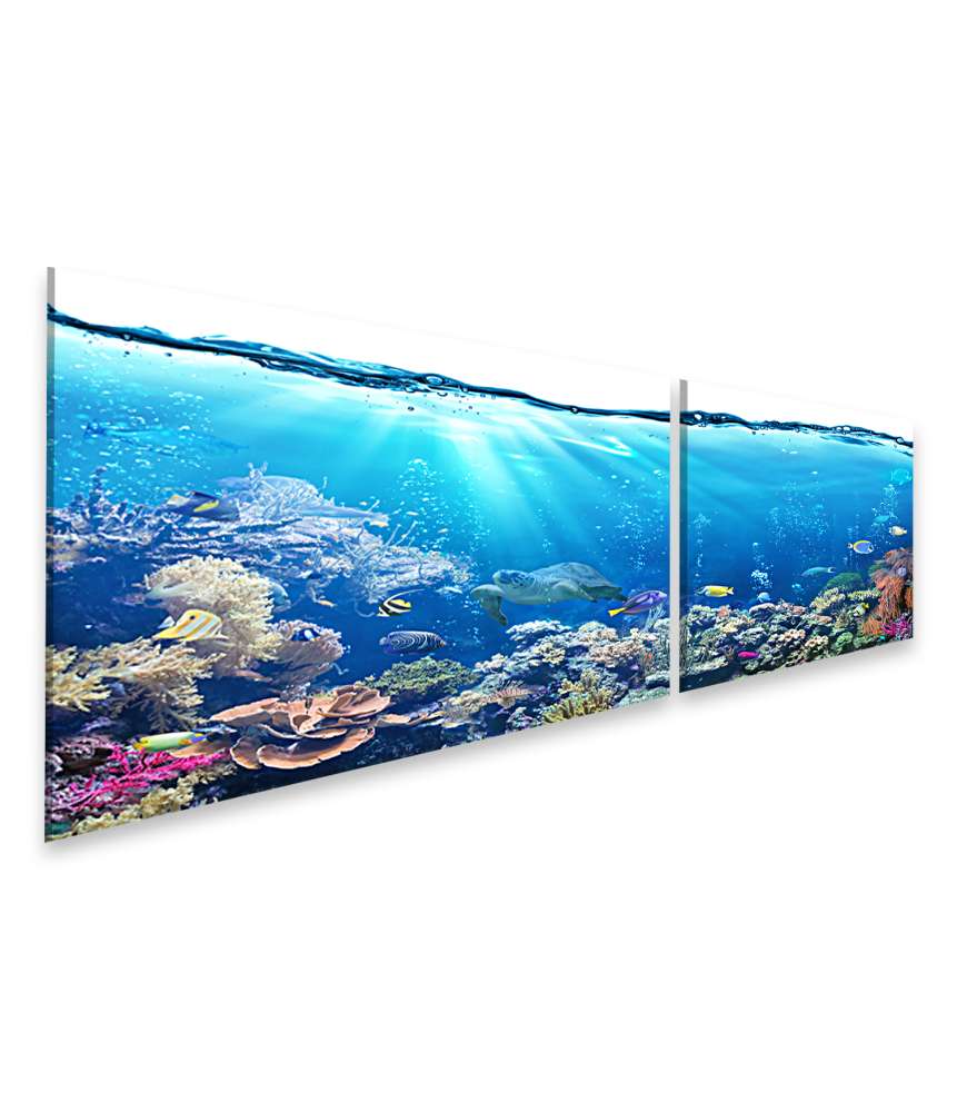 Islandburner Bild auf Leinwand Unterwasserlandschaft mit Korallenriff und tropischen Fischen - Wandbild