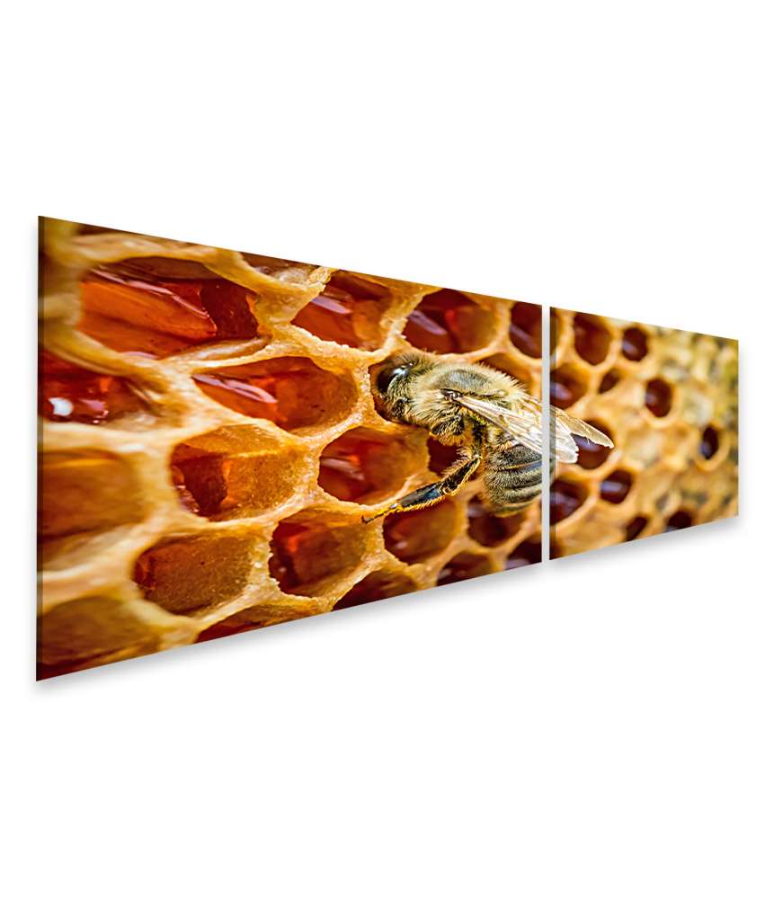 Islandburner Bild auf Leinwand Bienen auf Waben in einem detailreichen Bienenstock-Wandbild