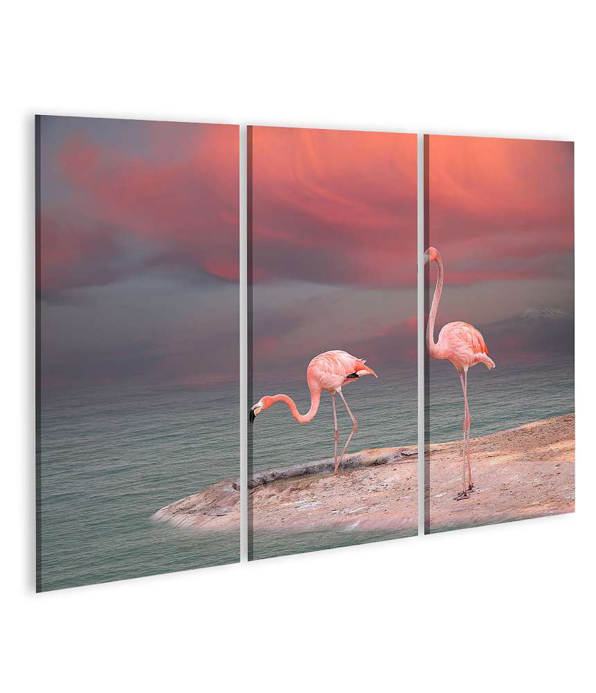 Islandburner Bild auf Leinwand Rosa Flamingo am idyllischen Strand Floridas