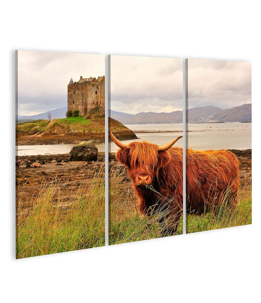 Islandburner Bild auf Leinwand Wandbild einer Hochlandkuh am Loch Linnhe, Schottland