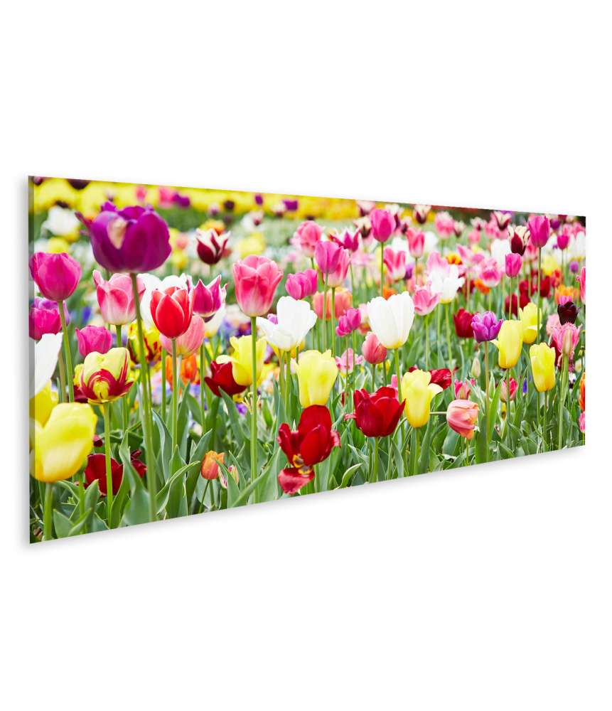 Islandburner Bild auf Leinwand Vielfältige Blumenauswahl mit prächtig blühenden Tulpen als Highlight